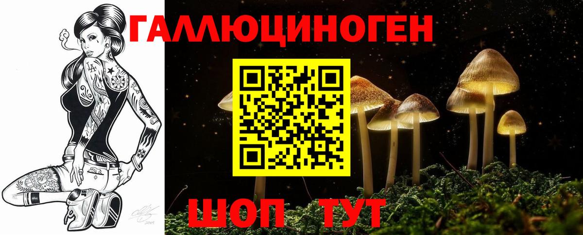 Галлюциногенные грибы Psilocybe Мыски