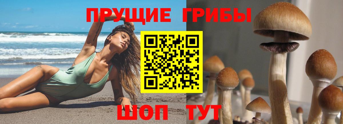 даркнет сайт  Галлюциногенные грибы Magic Shrooms  Мыски  Вход с VPN  Галлюциногенные грибы Psilocybe 